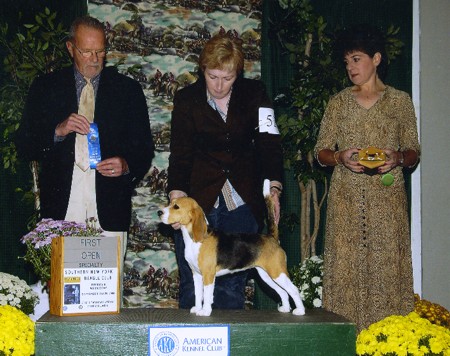 class at the SNYBS, 2004