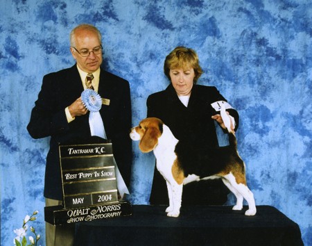 Flash, winning Best Pupy in Show in Ahmerst, 2004