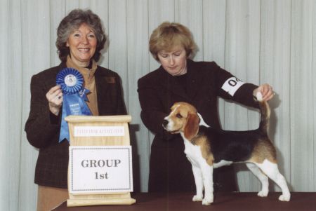 Kiki winning Group 1st under Judge Mike MacBeth