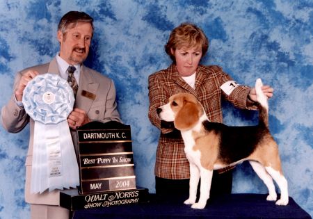Rory winning Best Puppy in Show at Dartmouth KC, 2004