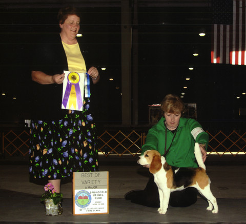 Bambi Winning Best of Variety at Springfield Kennels club, Springfield, Mass.