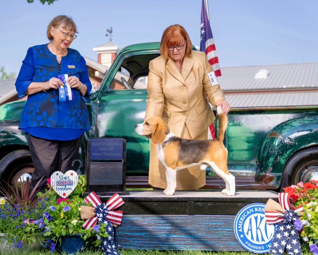 Gus Earning American Championship