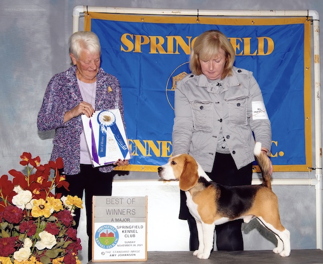 Looker Winning Beat of Winners at Springfield, Mass.