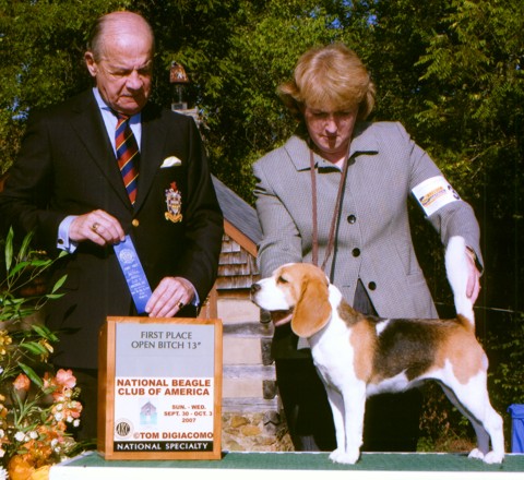 Bambi winning her class at NBC