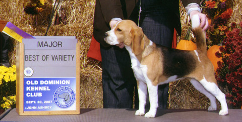 Minnie, winning a 4 point major at Old Dominion in Virginia