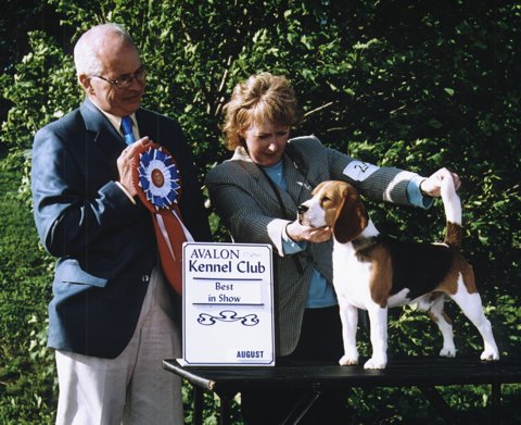 Ricky winning Best in Show at Avalon Kennel Club, St. John's, Newfoundland, August 2005