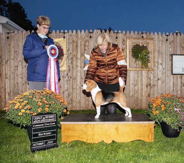 Sugar winning Best in Show at Cobequid