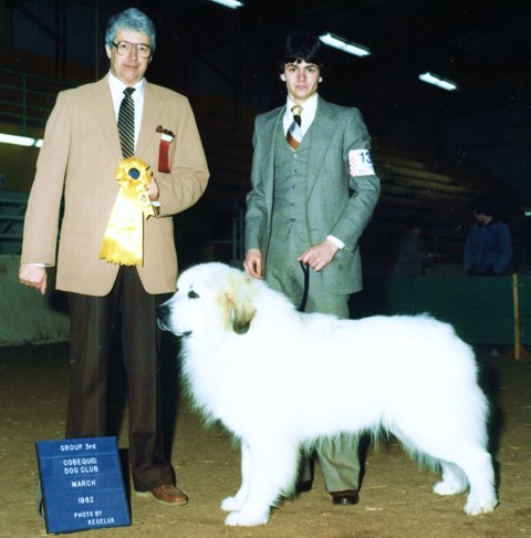 Tim, Captain (Ch. Beaupyr Captain Zuniga) and Judge Bud Haverstock, 1982